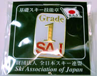 1級バッジ